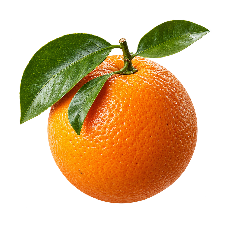 Moon Agro turunçgil danışmanlığı için taze portakal